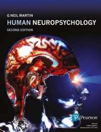 Human Neuropsychology