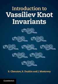 Introduction To Vassiliev Knot Invariants