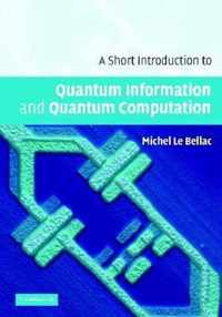 A Short Introduction to Quantum Information and Quantum Computation