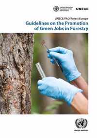 Guidelines on the promotion of green jobs in forestry