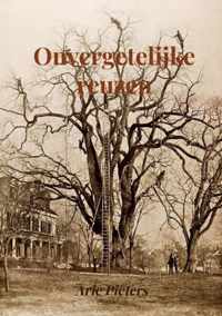 Onvergetelijke reuzen - Arie Pieters - Paperback (9789463982474)