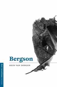 Profielen  -   Bergson