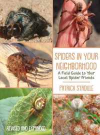 Spiders in Your Neighborhood