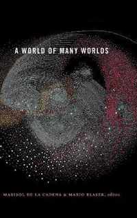 A World of Many Worlds