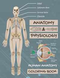 Anatomy & Physiology: Human Anatomy Coloring Book