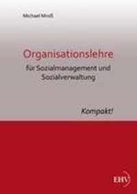Organisationslehre Fur Sozialmanagement Und Sozialverwaltung