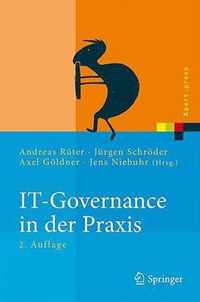 IT-Governance in der Praxis