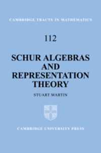 Schur Algebras and Representation Theory