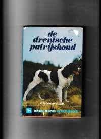 Drentsche patryshond