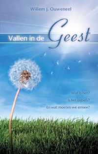 Vallen in de Geest