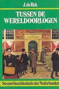 Tussen de wereldoorlogen