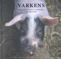 Varkens