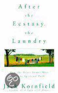 After the Ecstasy, the Laundry