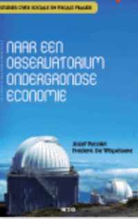 Naar Een Observatorium Ondergrondse Economie