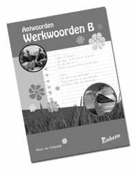 Werkwoorden antwoorden B