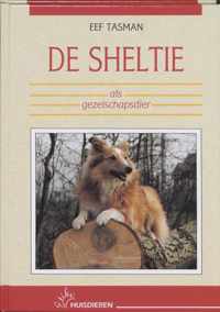 De Sheltie als gezelschapsdier