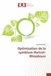 Optimisation de la Symbiose Haricot-Rhizobium