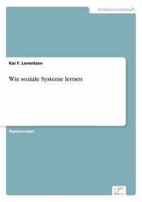 Wie soziale Systeme lernen