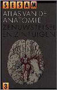 Sesam atlas van de anatomie deel 3: Zenuwstelsel en zintuigen