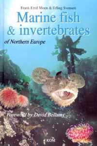 Marine Fish & Invertebrates of Northern Europe