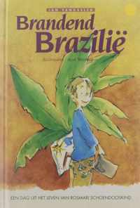 Brandend Brazilië - Jan Vanhaelen