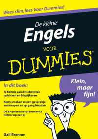 Voor Dummies - De kleine Engels voor Dummies