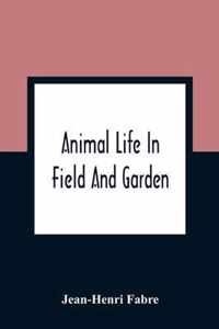 Animal Life In Field And Garden