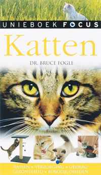 Focus / Katten