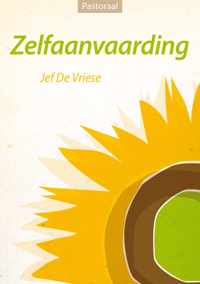 ZELFAANVAARDING