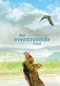 Het overstroomde land