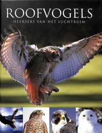 Roofvogels