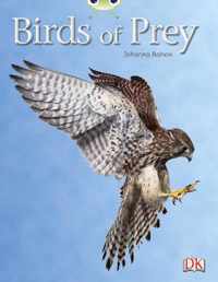 Bug Club Independent Non Fiction Year Two White A Birds of Prey