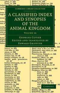 A Classified Index and Synopsis of the Animal Kingdom