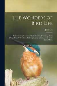 The Wonders of Bird Life