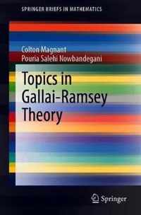 Topics in Gallai-Ramsey Theory
