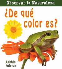 De Que Color Es? = What Color Is It?