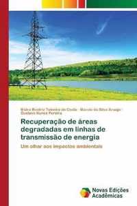 Recuperacao de areas degradadas em linhas de transmissao de energia