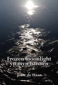 Frozen moonlight yn myn hannen