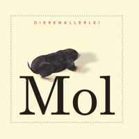 Dierenallerlei  -   Mol
