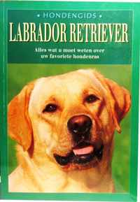 Labrador Retriever