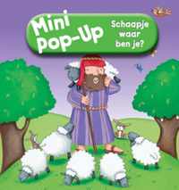 Mini pop-up  -   Schaapje waar ben je?