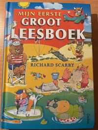 Mijn eerste groot leesboek