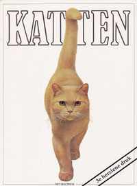 Katten