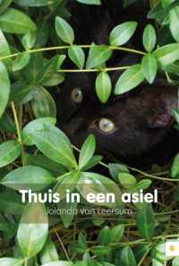 Thuis in een asiel