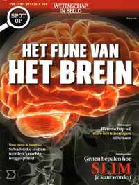Wetenschap in Beeld; Het fijne van het brein