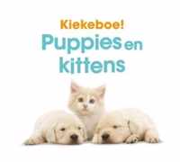 Kiekeboe  -   Puppies en kittens