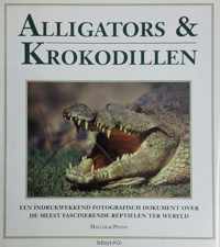 Alligators en krokodillen