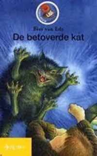 De betoverde kat