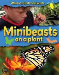 Where to Find Minibeasts