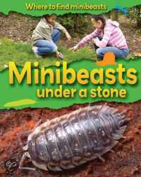 Where to Find Minibeasts